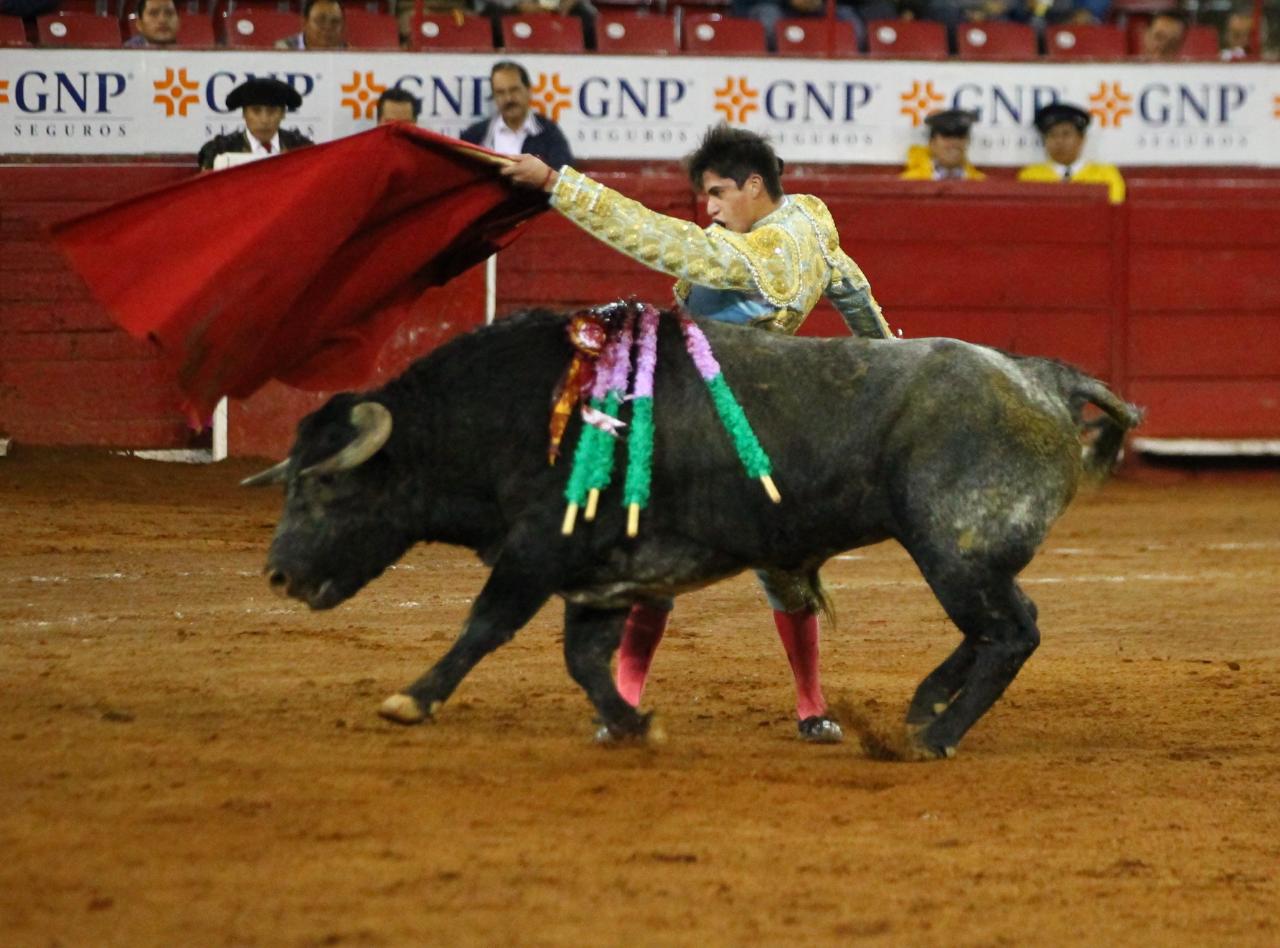 México, viernes 11 de octubre de 2019