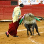 México, viernes 11 de octubre de 2019