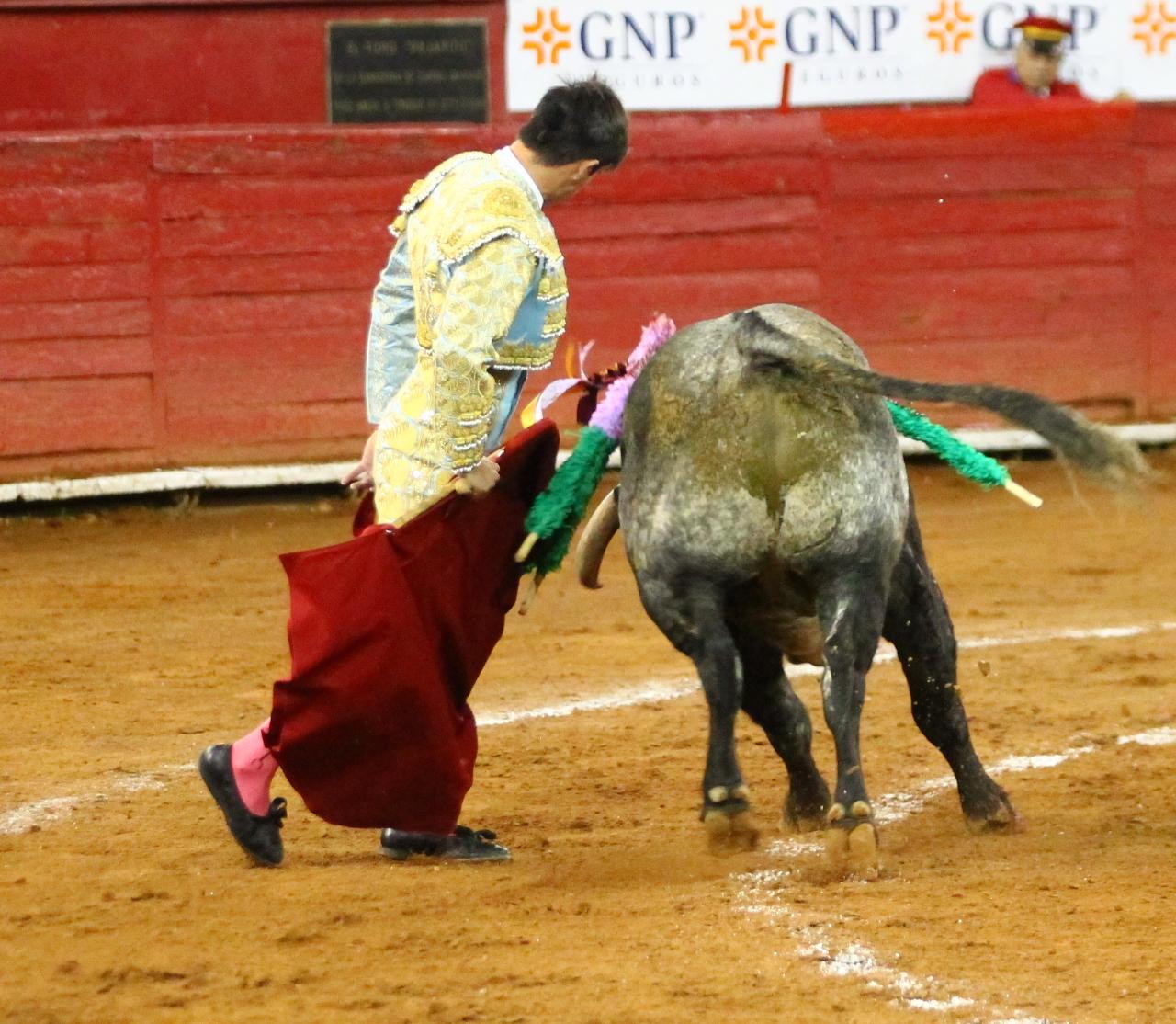 México, viernes 11 de octubre de 2019