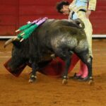 México, viernes 11 de octubre de 2019