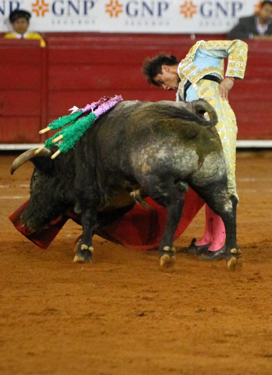 México, viernes 11 de octubre de 2019