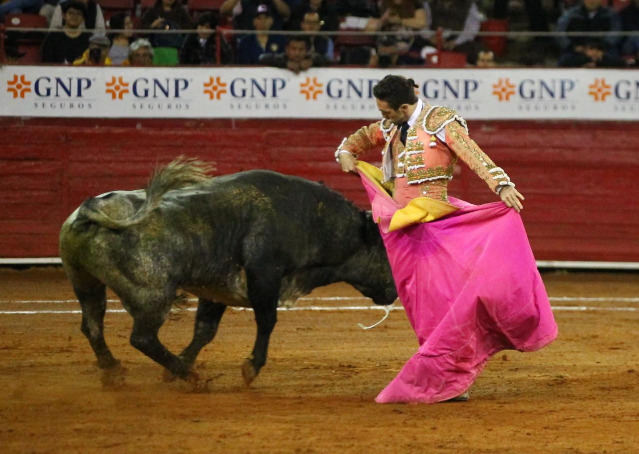 México, viernes 11 de octubre de 2019