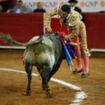 México, viernes 11 de octubre de 2019