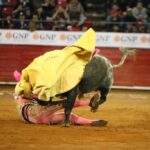 México, viernes 11 de octubre de 2019