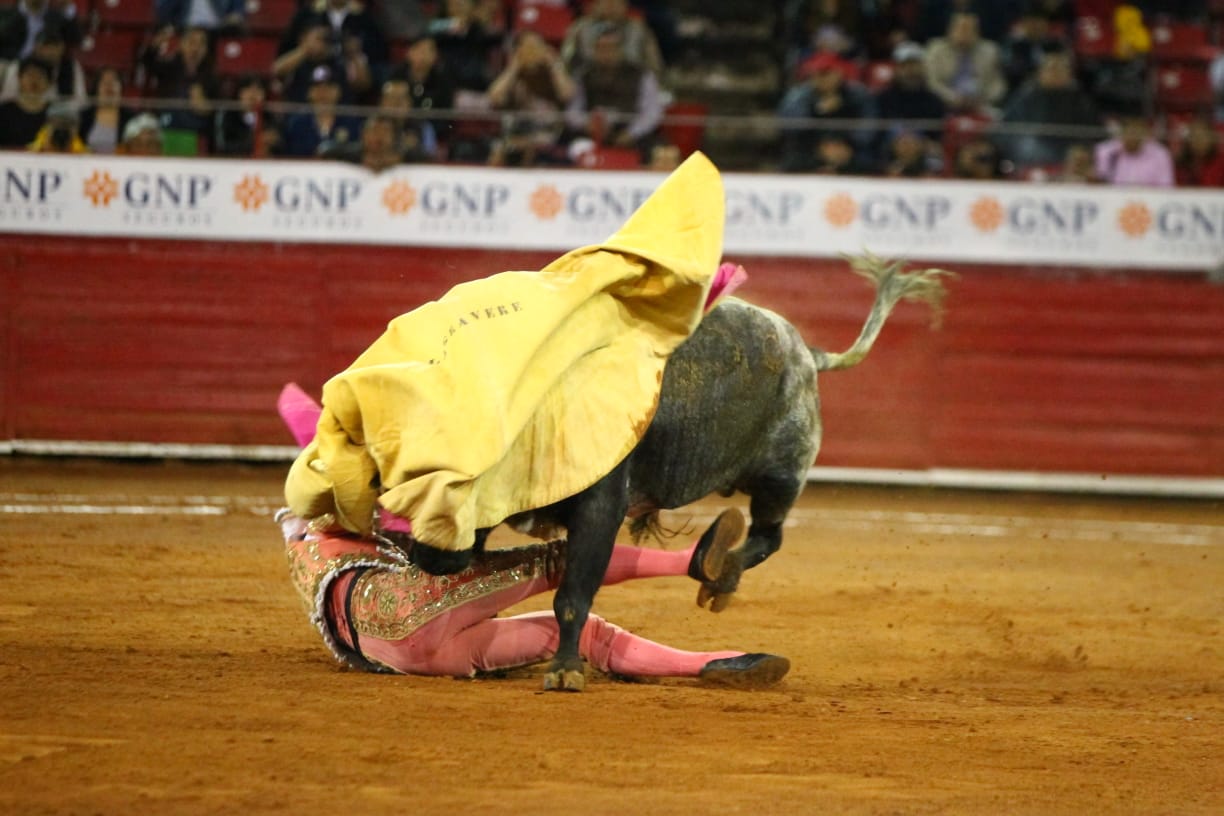 México, viernes 11 de octubre de 2019