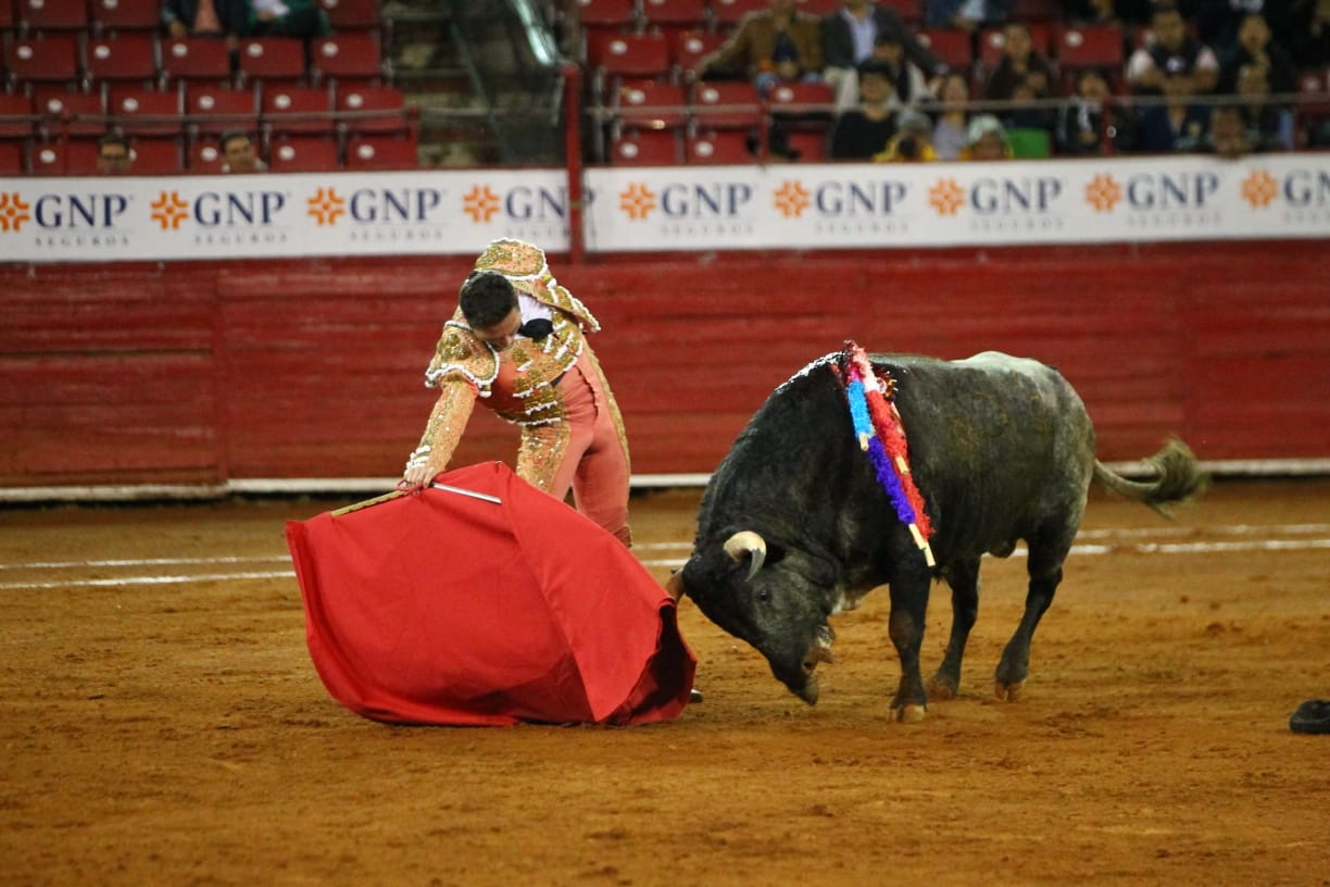 México, viernes 11 de octubre de 2019