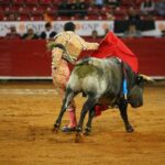 México, viernes 11 de octubre de 2019