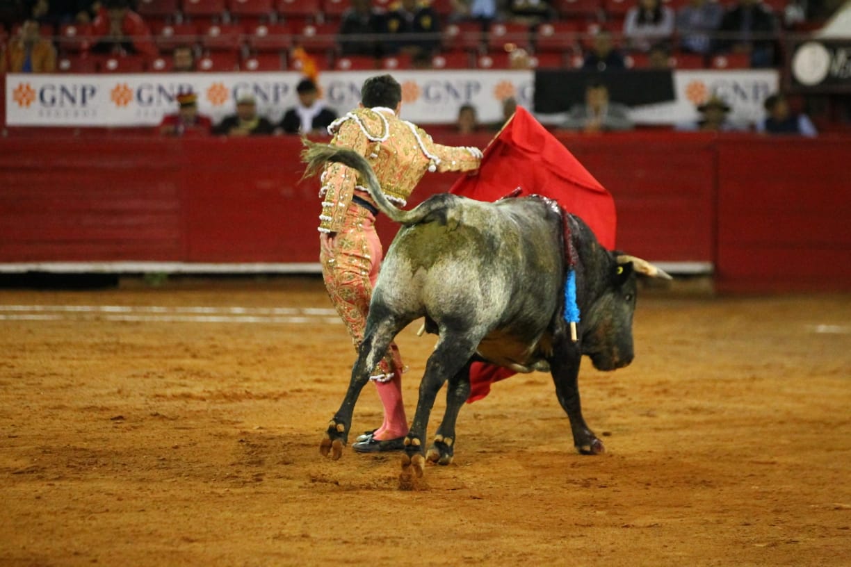 México, viernes 11 de octubre de 2019