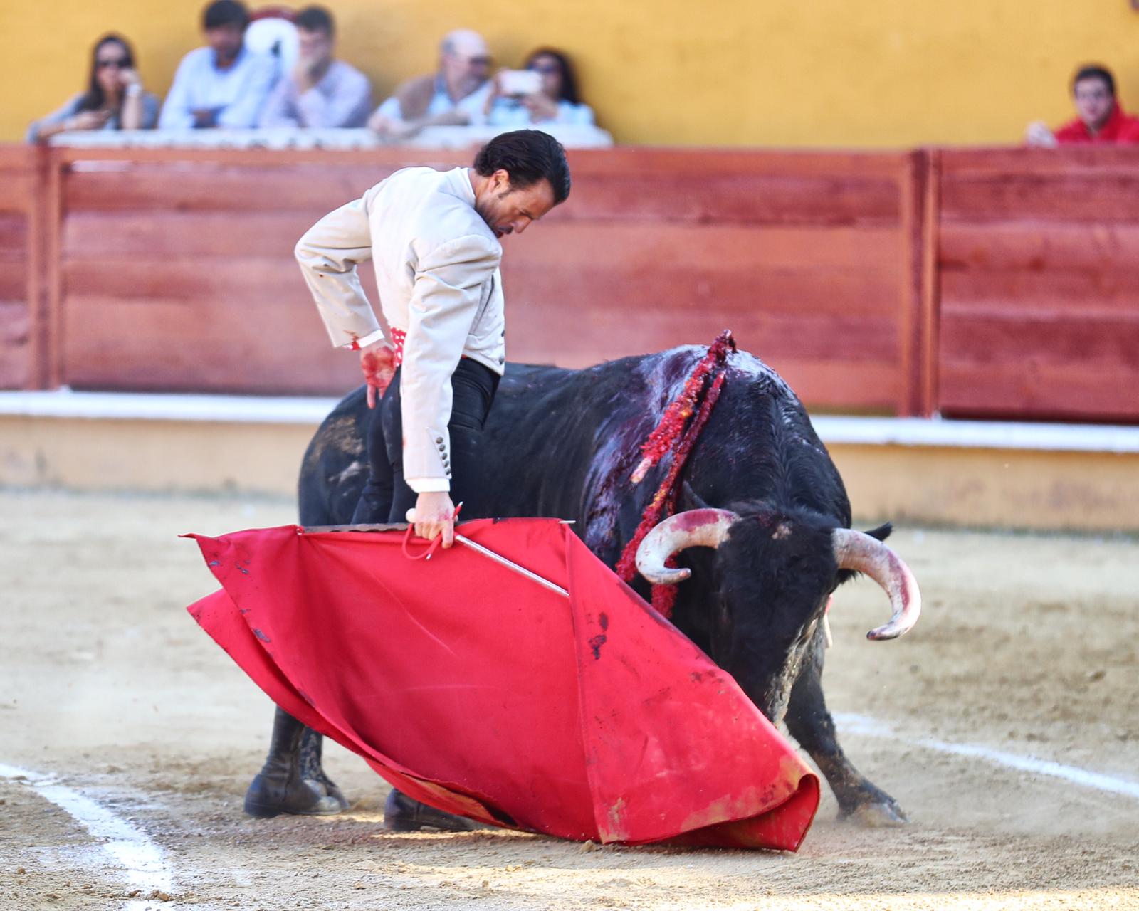 Ávila, domingo 13 de octubre de 2019