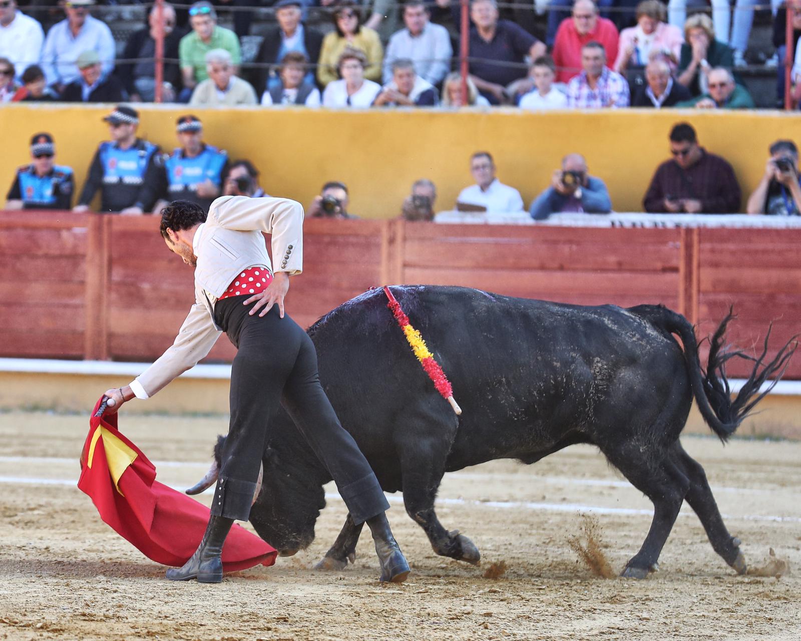 Ávila, domingo 13 de octubre de 2019