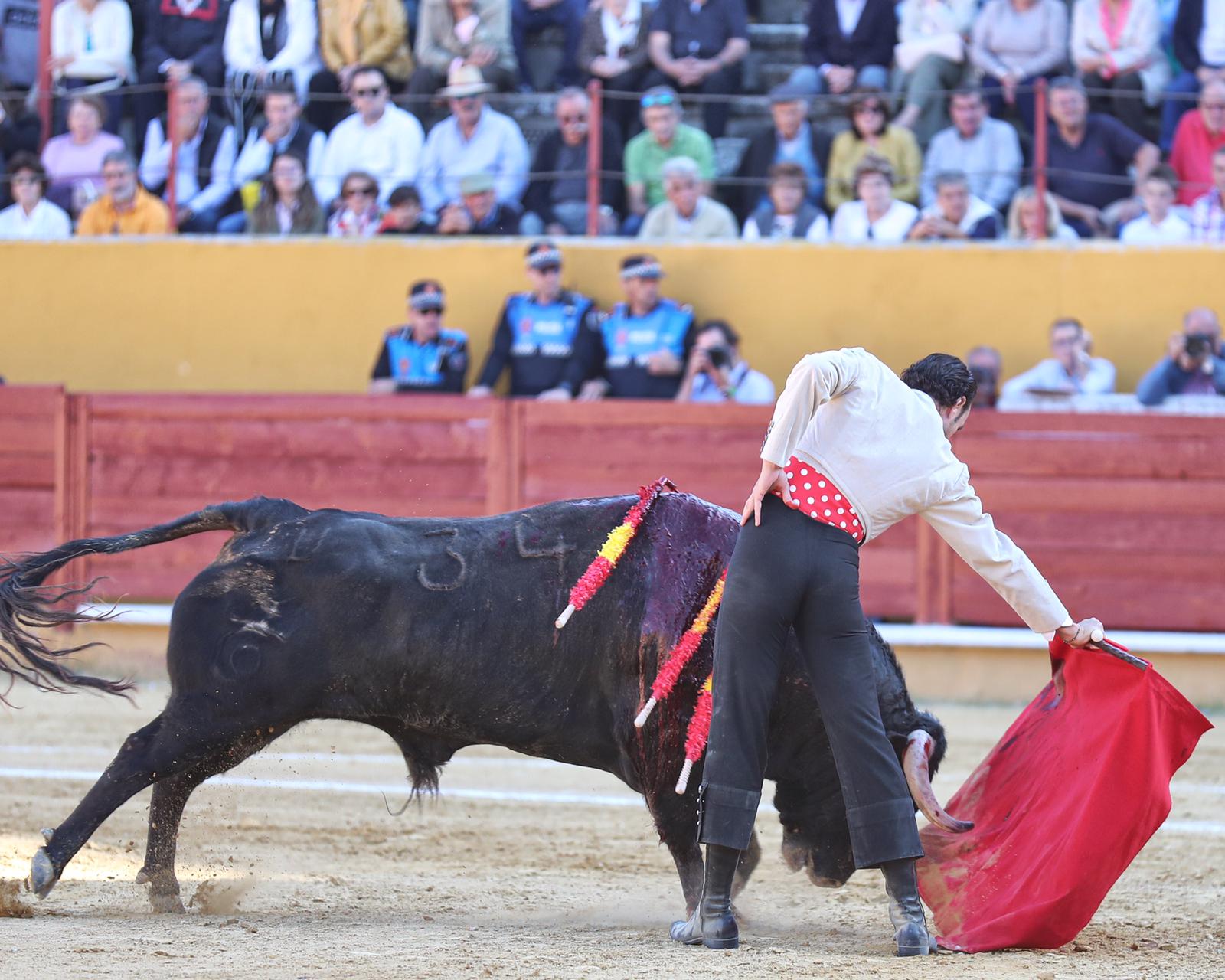 Ávila, domingo 13 de octubre de 2019