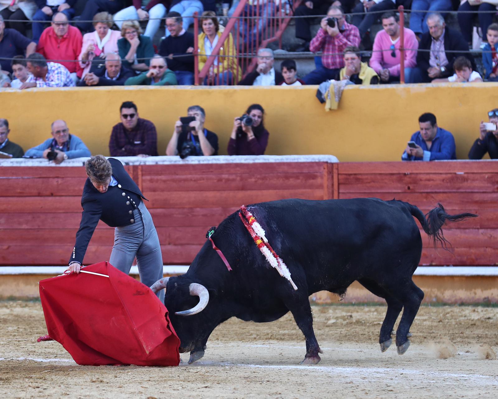 Ávila, domingo 13 de octubre de 2019