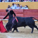 Ávila, domingo 13 de octubre de 2019