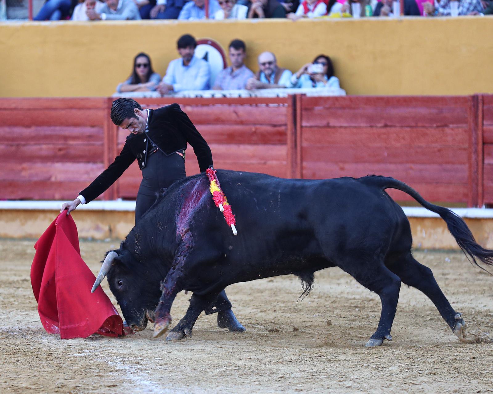 Ávila, domingo 13 de octubre de 2019