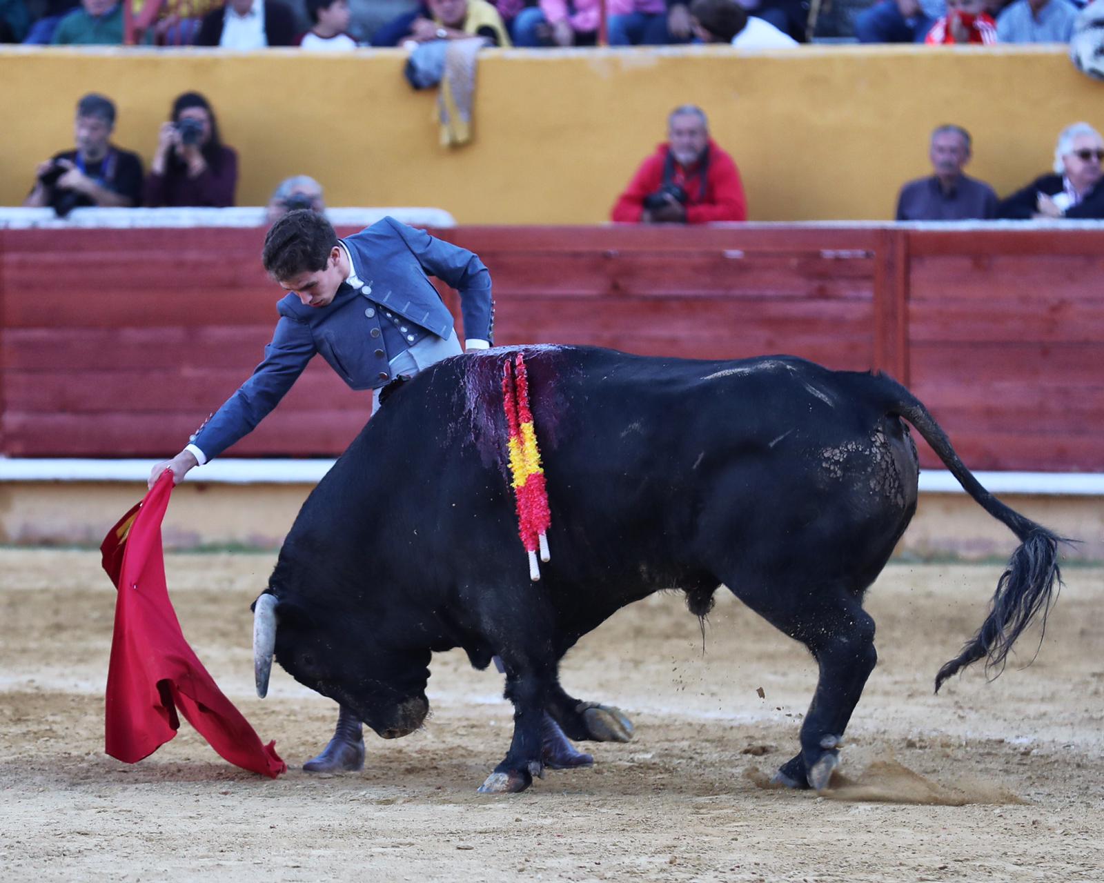 Ávila, domingo 13 de octubre de 2019