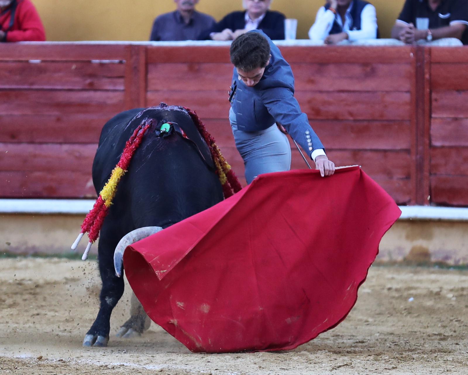 Ávila, domingo 13 de octubre de 2019