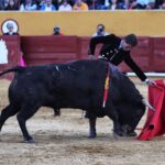 Ávila, domingo 13 de octubre de 2019