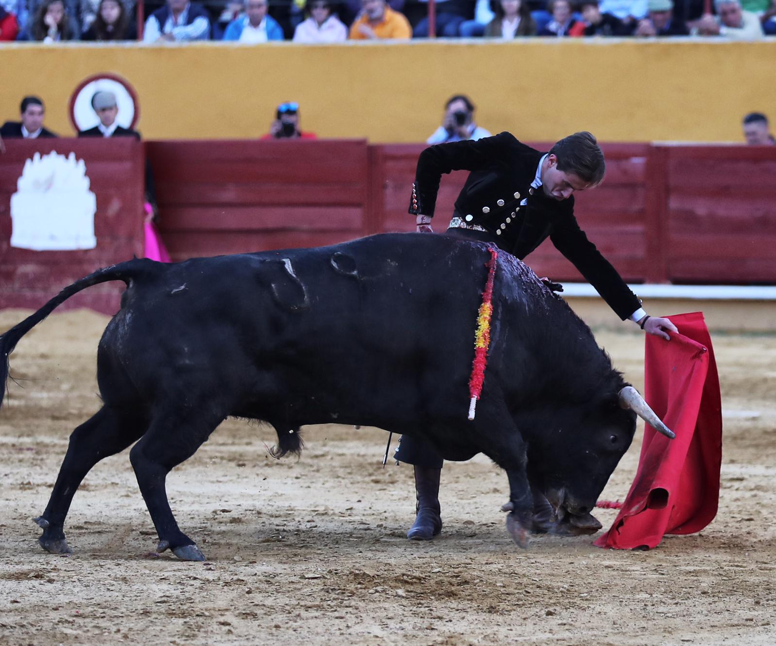 Ávila, domingo 13 de octubre de 2019