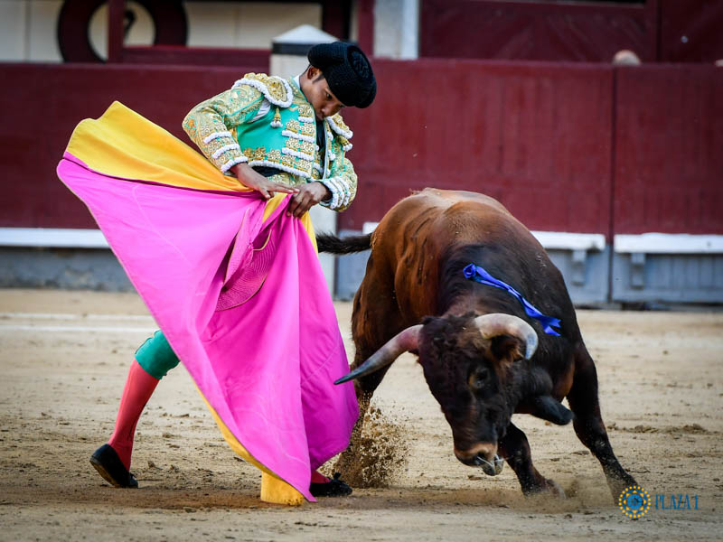 Madrid, domingo 13 de octubre de 2019