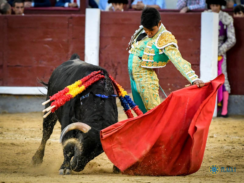 Madrid, domingo 13 de octubre de 2019