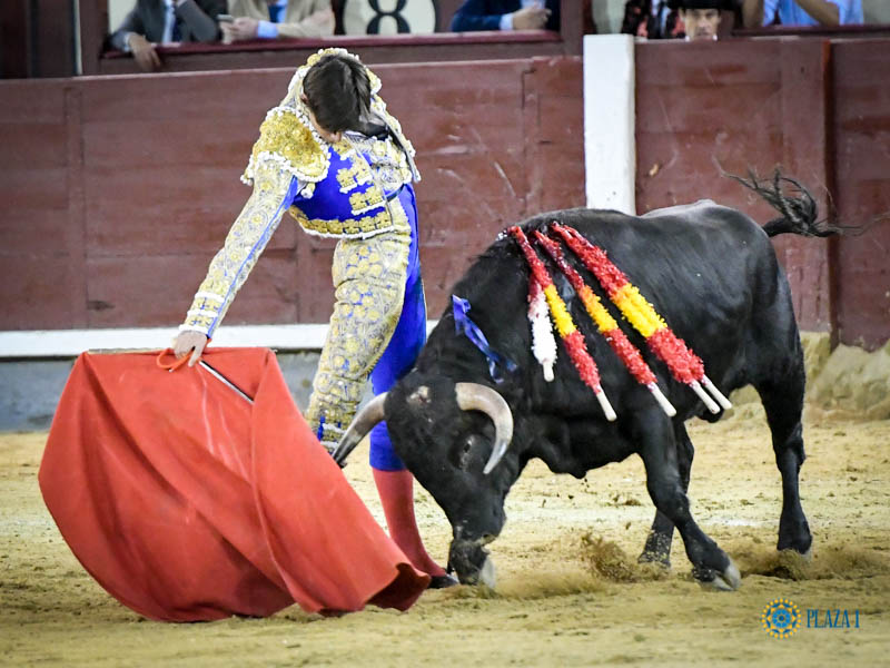 Madrid, domingo 13 de octubre de 2019