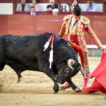 Madrid, domingo 13 de octubre de 2019