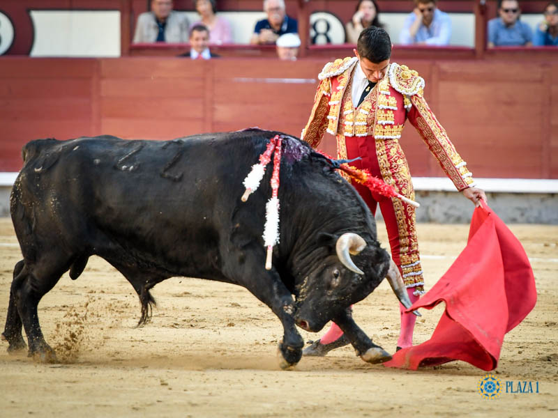 Madrid, domingo 13 de octubre de 2019