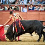 Madrid, domingo 13 de octubre de 2019