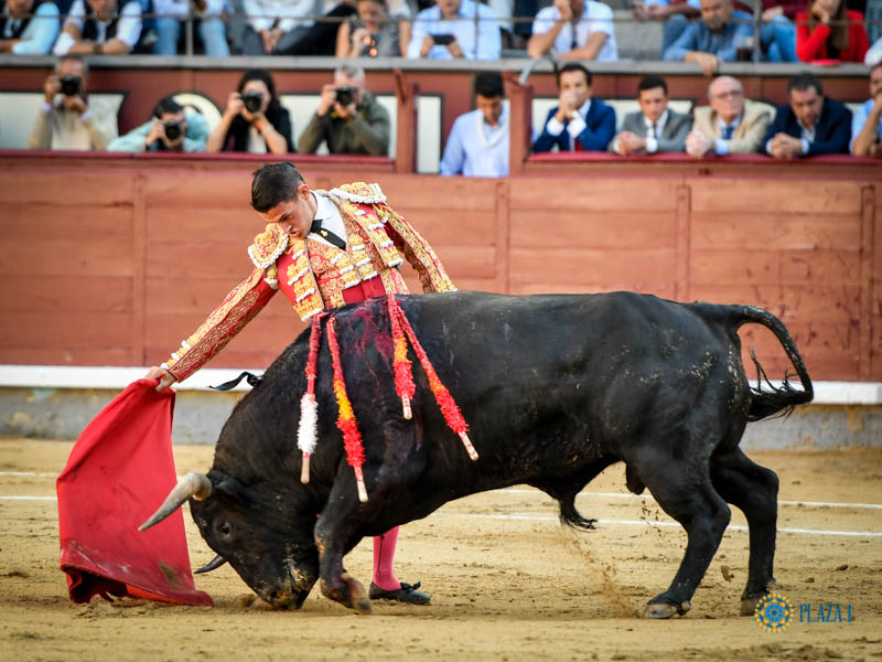 Madrid, domingo 13 de octubre de 2019