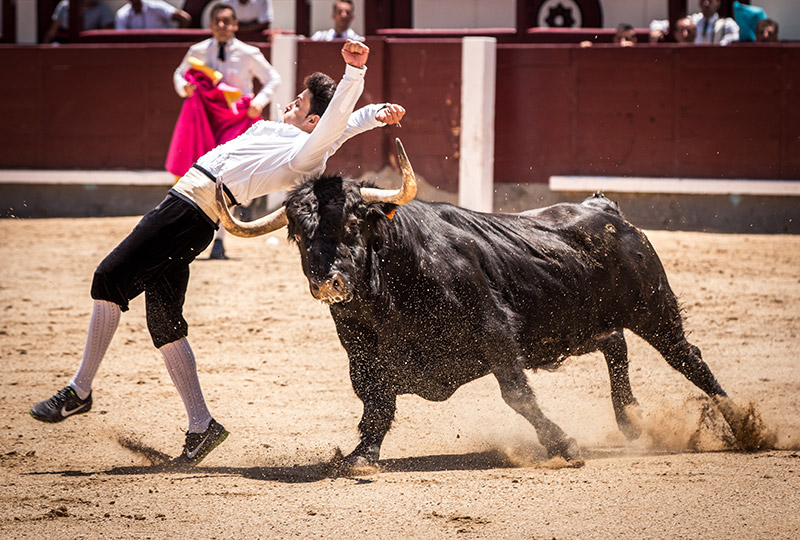 Los recortadores tendrán su particular circuito en la Comunidad de Madrid
