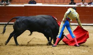 Morelia (México) - Viernes 15 de febrero de 2019