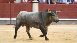 Madrid. Domingo, 6 de octubre de 2019.