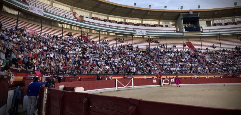 Más de cuatro mil personas en el arranque de San Lucas
