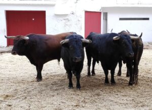 Sorteo. Valencia, 9 de octubre de 2019