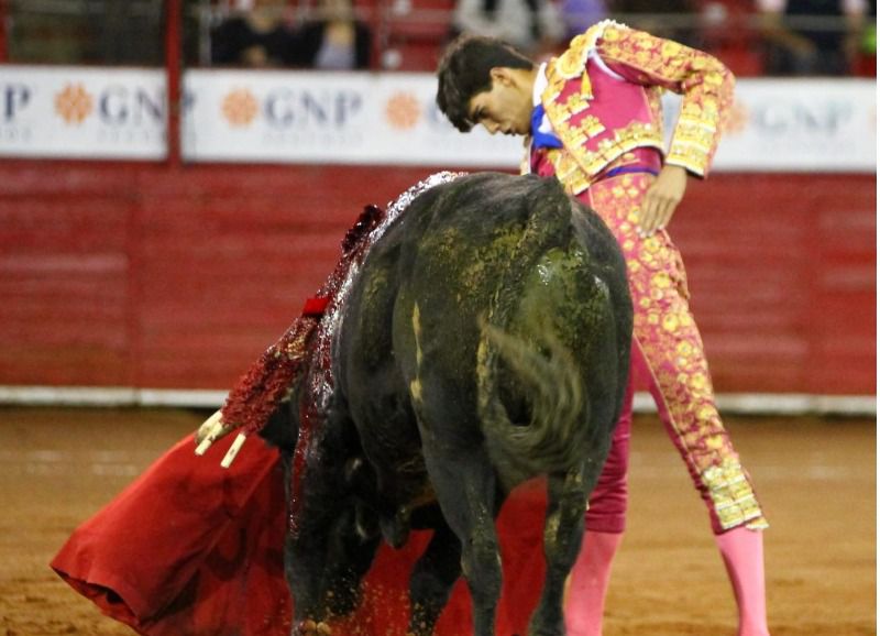 Buena imagen de Francisco de Manuel en La México