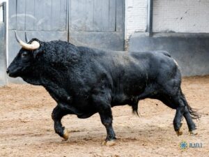 Sorteo. Madrid, sábado 12 de octubre de 2019