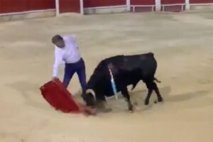 Inca, sábado 12 de octubre de 2019