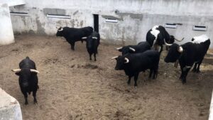 Sorteo, Ávila, domingo 13 de octubre de 2019