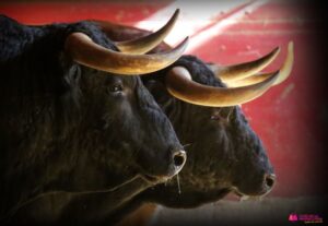 Sorteo. Zaragoza, domingo 13 de octubre de 2019