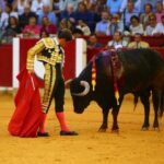 Zaragoza, domingo 13 de octubre de 2019