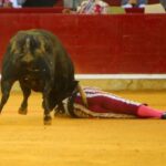 Zaragoza, domingo 13 de octubre de 2019