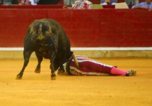 Zaragoza, domingo 13 de octubre de 2019