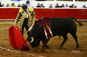 Querétaro, sábado 19 de octubre de 2019