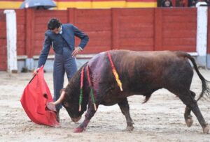 Chinchón, domingo 20 de octubre de 2019