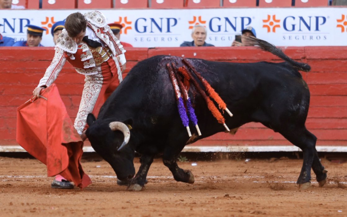 Dos novillos al corral y solitaria ovación para Maxime Solera en La México