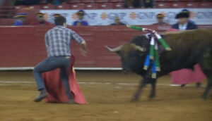 Yusef Hernández Medina se arrojó de espontáneo el pasado viernes.