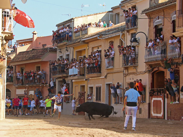 La temporada 2019 ya supera los 7.600 festejos de bous al carrer