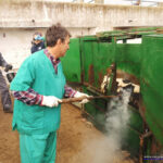 Herradero en Victorino Martín