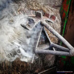 Herradero en Victorino Martín