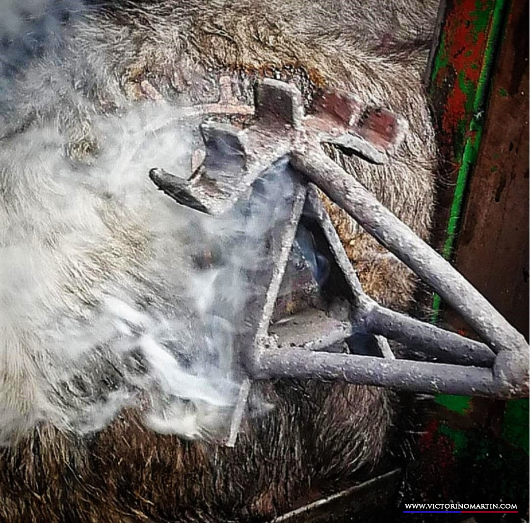 Herradero en Victorino Martín